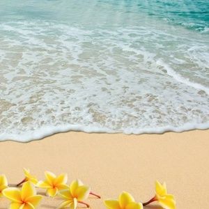 Meet your Posher, Britney